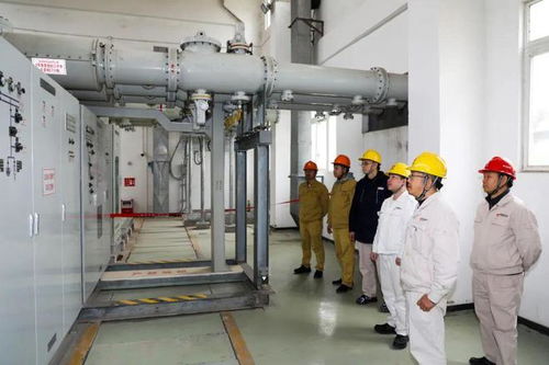 保障能源安全 國能肇慶電廠二期工程廠用電受電一次成功，手機軟件設計助力智慧電廠